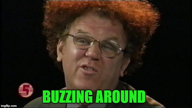 Dr. Steve Brule | BUZZING AROUND | image tagged in dr steve brule | made w/ Imgflip meme maker