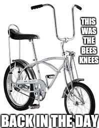 THIS WAS THE BEES KNEES; BACK IN THE DAY | image tagged in funny | made w/ Imgflip meme maker
