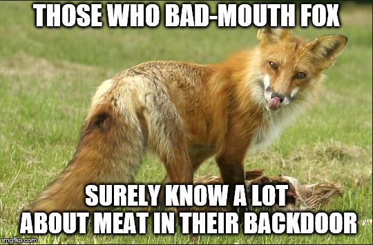 THOSE WHO BAD-MOUTH FOX SURELY KNOW A LOT ABOUT MEAT IN THEIR BACKDOOR | made w/ Imgflip meme maker