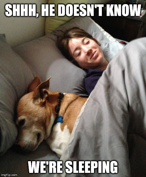 Pretending to sleep | SHHH, HE DOESN'T KNOW; WE'RE SLEEPING | image tagged in sleeping,pretending,pretending to sleep,dogs,smiling,give it away | made w/ Imgflip meme maker