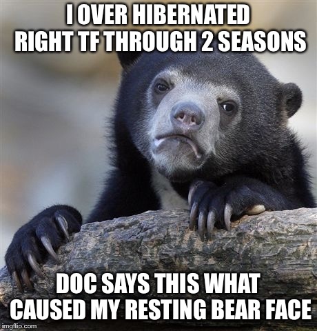 Confession Bear Meme | I OVER HIBERNATED RIGHT TF THROUGH 2 SEASONS; DOC SAYS THIS WHAT CAUSED MY RESTING BEAR FACE | image tagged in memes,confession bear | made w/ Imgflip meme maker