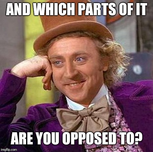 Creepy Condescending Wonka Meme | AND WHICH PARTS OF IT ARE YOU OPPOSED TO? | image tagged in memes,creepy condescending wonka | made w/ Imgflip meme maker