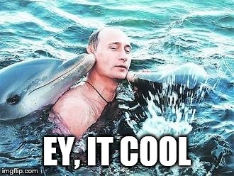 Putin Dolphins | EY, IT COOL | image tagged in putin dolphins | made w/ Imgflip meme maker