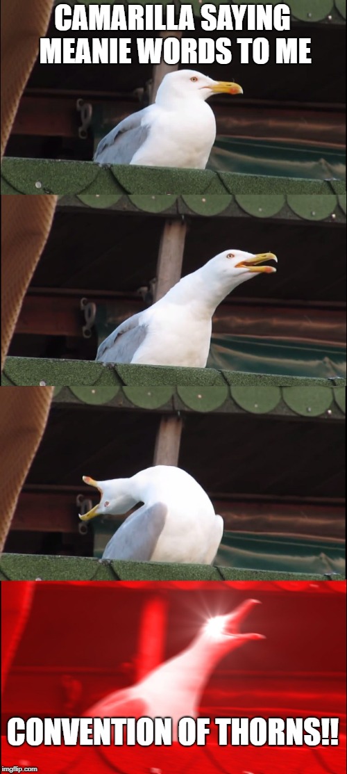 Inhaling Seagull Meme | CAMARILLA SAYING MEANIE WORDS TO ME; CONVENTION OF THORNS!! | image tagged in memes,inhaling seagull | made w/ Imgflip meme maker