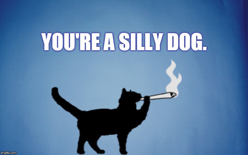 YOU'RE A SILLY DOG. | made w/ Imgflip meme maker