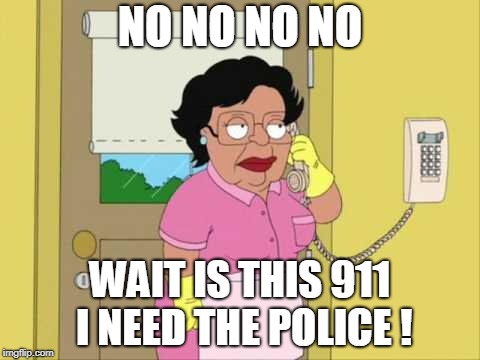Consuela | NO NO NO NO; WAIT IS THIS 911 I NEED THE POLICE ! | image tagged in memes,consuela | made w/ Imgflip meme maker