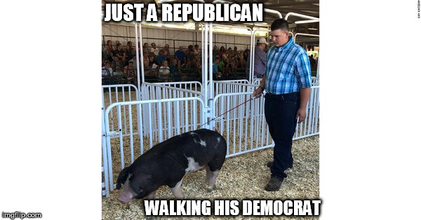 JUST A REPUBLICAN; WALKING HIS DEMOCRAT | image tagged in democrats | made w/ Imgflip meme maker