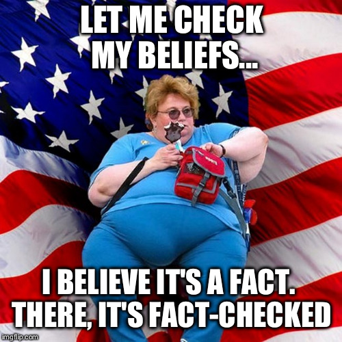 Obese conservative american woman | LET ME CHECK MY BELIEFS... I BELIEVE IT'S A FACT. THERE, IT'S FACT-CHECKED | image tagged in obese conservative american woman | made w/ Imgflip meme maker