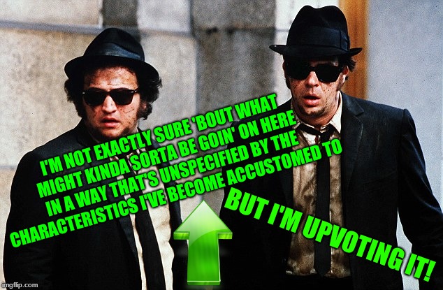 Blues Brothers wtf | I'M NOT EXACTLY SURE 'BOUT WHAT MIGHT KINDA SORTA BE GOIN' ON HERE IN A WAY THAT'S UNSPECIFIED BY THE CHARACTERISTICS I'VE BECOME ACCUSTOMED | image tagged in blues brothers wtf | made w/ Imgflip meme maker