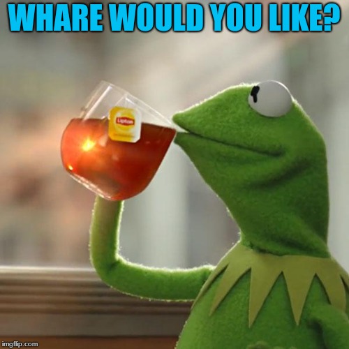 But That's None Of My Business Meme | WHARE WOULD YOU LIKE? | image tagged in memes,but thats none of my business,kermit the frog | made w/ Imgflip meme maker