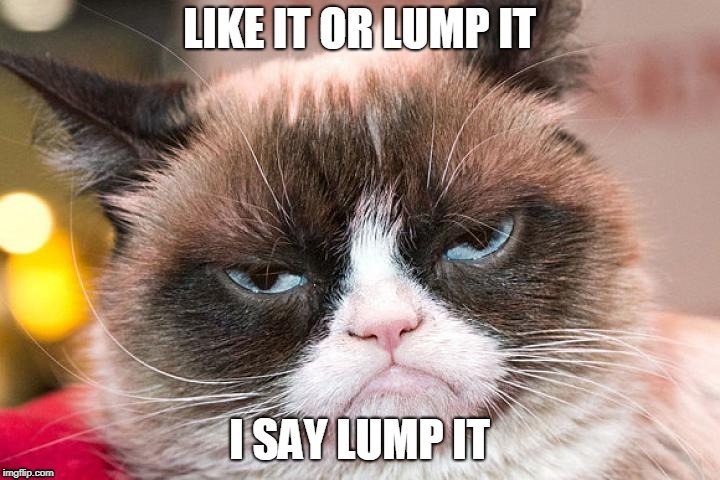 image tagged in grumpy cat,memes,funny memes,animal meme,funny animal meme | made w/ Imgflip meme maker