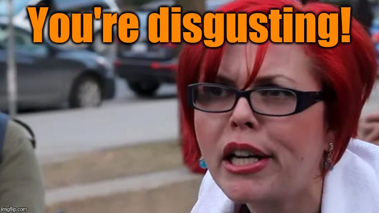  triggered | You're disgusting! | image tagged in triggered | made w/ Imgflip meme maker