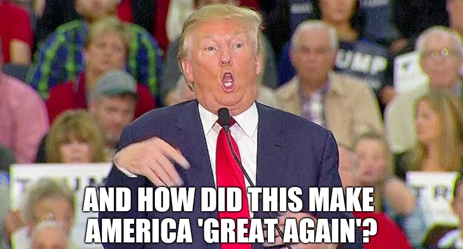 Trump disgraceful mocking | AND HOW DID THIS MAKE AMERICA 'GREAT AGAIN'? | image tagged in trump meme,impeach trump,trump impeachment,donald trump is an idiot,trump is a moron,donald trump memes | made w/ Imgflip meme maker