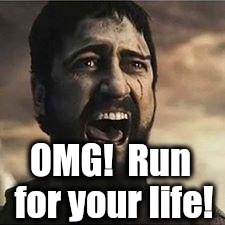 Confused Screaming | OMG!  Run for your life! | image tagged in confused screaming | made w/ Imgflip meme maker