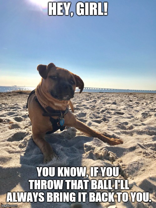 HEY, GIRL! YOU KNOW, IF YOU THROW THAT BALL I'LL ALWAYS BRING IT BACK TO YOU. | made w/ Imgflip meme maker