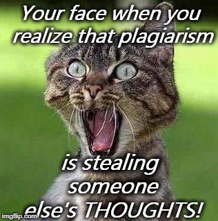 Shocked Cat | Your face when you realize that plagiarism; is stealing someone else's THOUGHTS! | image tagged in shocked cat | made w/ Imgflip meme maker