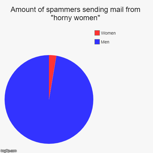 Yeah, I assumed their gender. So sue me feminists! | Amount of spammers sending mail from "horny women" | Men, Women | image tagged in funny,pie charts | made w/ Imgflip chart maker