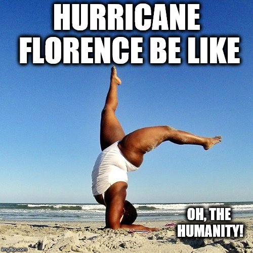 Oh, the humanity! | HURRICANE FLORENCE BE LIKE; OH, THE HUMANITY! | image tagged in memes,hurricane,florence,on the beach | made w/ Imgflip meme maker