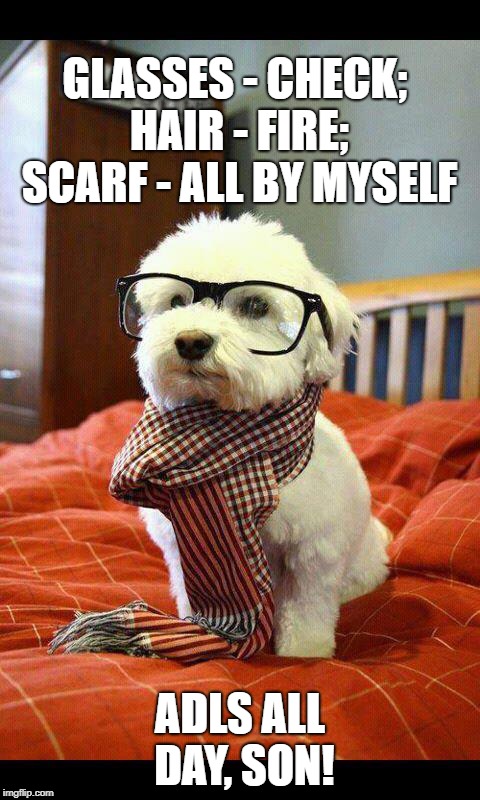 Intelligent Dog | GLASSES - CHECK; HAIR - FIRE; SCARF - ALL BY MYSELF; ADLS ALL DAY, SON! | image tagged in memes,intelligent dog | made w/ Imgflip meme maker