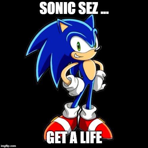 You're Too Slow Sonic Meme | SONIC SEZ ... GET A LIFE | image tagged in memes,youre too slow sonic | made w/ Imgflip meme maker