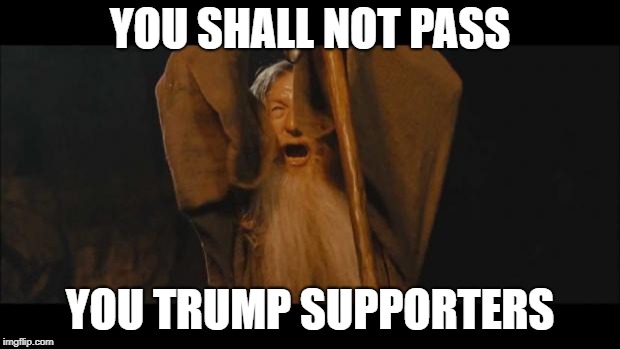 You Shall Not Pass | YOU SHALL NOT PASS; YOU TRUMP SUPPORTERS | image tagged in you shall not pass | made w/ Imgflip meme maker