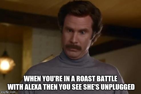 actually im not even mad | WHEN YOU'RE IN A ROAST BATTLE WITH ALEXA THEN YOU SEE SHE'S UNPLUGGED | image tagged in actually im not even mad | made w/ Imgflip meme maker