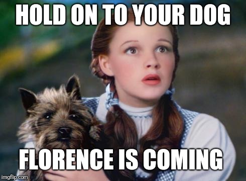 Toto Wizard of Oz | HOLD ON TO YOUR DOG; FLORENCE IS COMING | image tagged in toto wizard of oz | made w/ Imgflip meme maker