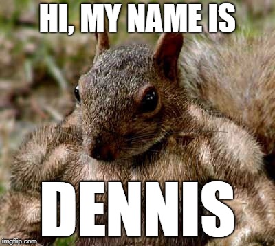 Dennis the rock squirrel | HI, MY NAME IS; DENNIS | image tagged in dennis,squirrel,muscular,pumped,cute | made w/ Imgflip meme maker