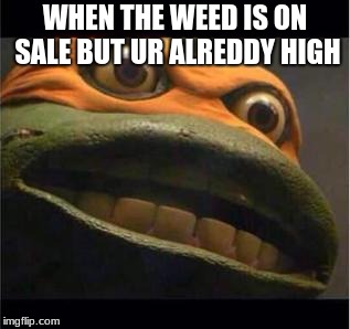 teen age mutant ninja turtle | WHEN THE WEED IS ON SALE BUT UR ALREDDY HIGH | image tagged in teen age mutant ninja turtle | made w/ Imgflip meme maker