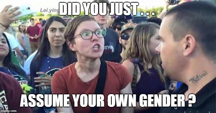 Did you just assume my gender | DID YOU JUST . . . ASSUME YOUR OWN GENDER ? | image tagged in did you just assume my gender | made w/ Imgflip meme maker