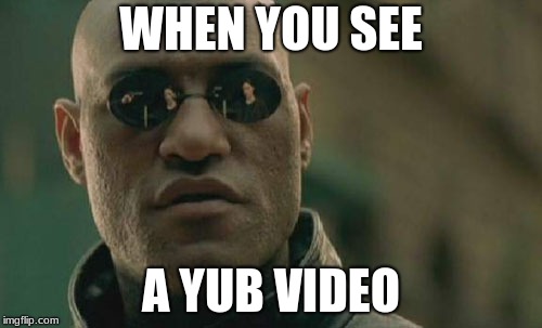 yuB | WHEN YOU SEE; A YUB VIDEO | image tagged in memes | made w/ Imgflip meme maker