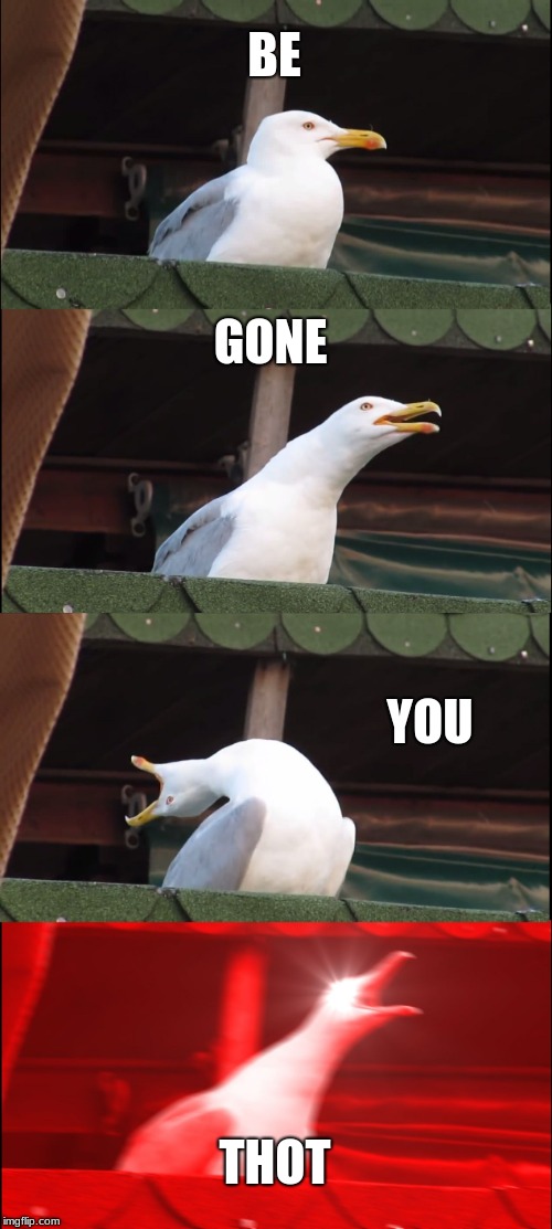 Inhaling Seagull | BE; GONE; YOU; THOT | image tagged in memes,inhaling seagull | made w/ Imgflip meme maker
