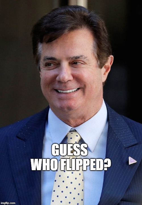 Paul Manafort | GUESS WHO FLIPPED? | image tagged in paul manafort | made w/ Imgflip meme maker