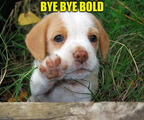 dog puppy bye | BYE BYE BOLD | image tagged in dog puppy bye | made w/ Imgflip meme maker