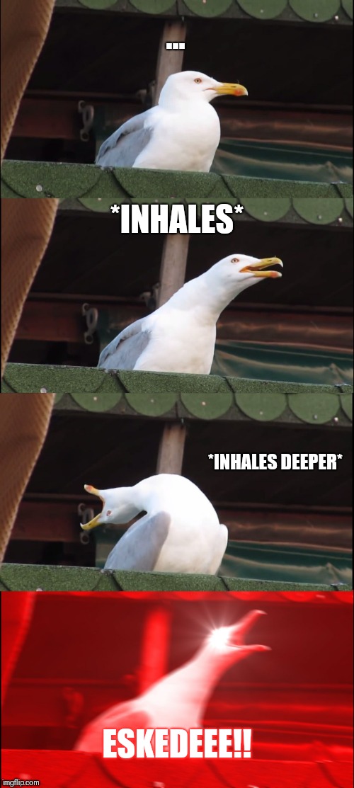 Inhaling Seagull | ... *INHALES*; *INHALES DEEPER*; ESKEDEEE!! | image tagged in memes,inhaling seagull | made w/ Imgflip meme maker