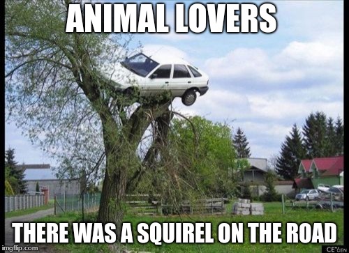 Secure Parking Meme | ANIMAL LOVERS; THERE WAS A SQUIREL ON THE ROAD | image tagged in memes,secure parking | made w/ Imgflip meme maker