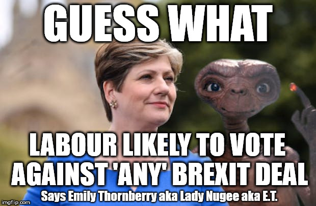 Labour will vote down any Tory Brexit deal | GUESS WHAT; LABOUR LIKELY TO VOTE AGAINST 'ANY' BREXIT DEAL; Says Emily Thornberry aka Lady Nugee aka E.T. | image tagged in lady nugee - emily thornberry mp,labour lies,communist socialist,momentum students,wearecorbyn,labourisdead | made w/ Imgflip meme maker
