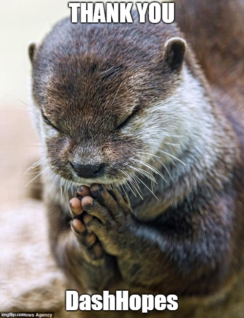 Thank you Lord Otter | THANK YOU DashHopes | image tagged in thank you lord otter | made w/ Imgflip meme maker