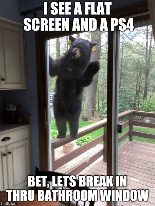Bear At The Door | I SEE A FLAT SCREEN AND A PS4; BET, LETS BREAK IN THRU BATHROOM WINDOW | image tagged in bear at the door | made w/ Imgflip meme maker