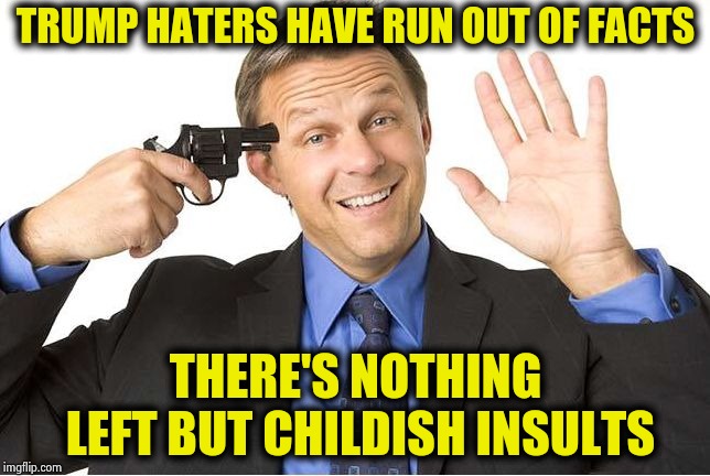 Gun to head | TRUMP HATERS HAVE RUN OUT OF FACTS THERE'S NOTHING LEFT BUT CHILDISH INSULTS | image tagged in gun to head | made w/ Imgflip meme maker