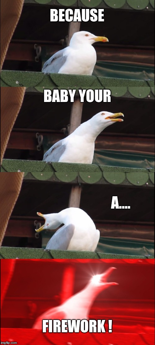 Inhaling Seagull | BECAUSE; BABY YOUR; A.... FIREWORK ! | image tagged in memes,inhaling seagull | made w/ Imgflip meme maker