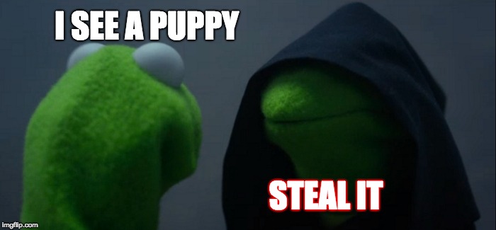 Evil Kermit Meme | I SEE A PUPPY; STEAL IT | image tagged in memes,evil kermit | made w/ Imgflip meme maker