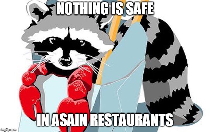 raccoon crab cakes? | NOTHING IS SAFE; IN ASAIN RESTAURANTS | image tagged in asian restaurants,raccoon,raccoon crab cake | made w/ Imgflip meme maker