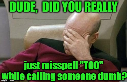 Captain Picard Facepalm Meme | DUDE,  DID YOU REALLY just misspell "TOO" while calling someone dumb? | image tagged in memes,captain picard facepalm | made w/ Imgflip meme maker