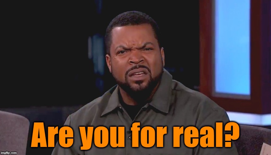 Really? Ice Cube | Are you for real? | image tagged in really ice cube | made w/ Imgflip meme maker