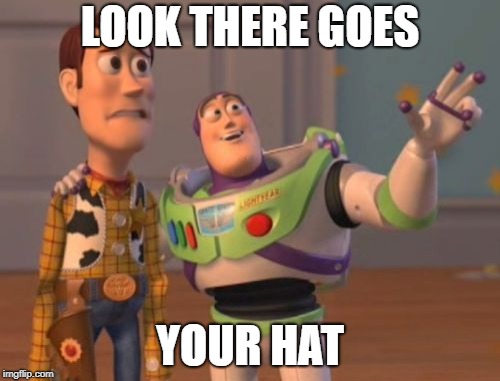 X, X Everywhere Meme | LOOK THERE GOES; YOUR HAT | image tagged in memes,x x everywhere | made w/ Imgflip meme maker