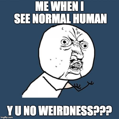 Y U No Meme | ME WHEN I SEE NORMAL HUMAN; Y U NO WEIRDNESS??? | image tagged in memes,y u no | made w/ Imgflip meme maker