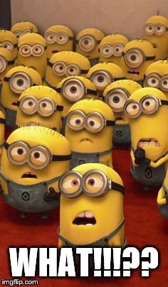 minions confused | WHAT!!!?? | image tagged in minions confused | made w/ Imgflip meme maker