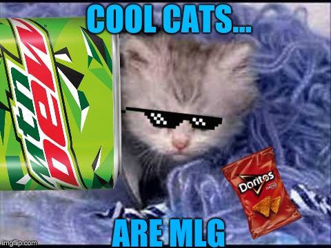 Meow Chikawowow | COOL CATS... ARE MLG | image tagged in kitteh | made w/ Imgflip meme maker