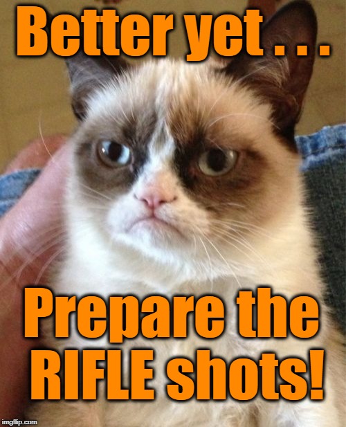 Grumpy Cat Meme | Better yet . . . Prepare the RIFLE shots! | image tagged in memes,grumpy cat | made w/ Imgflip meme maker